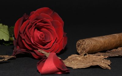 The Perfect Cigar for Valentine’s Day