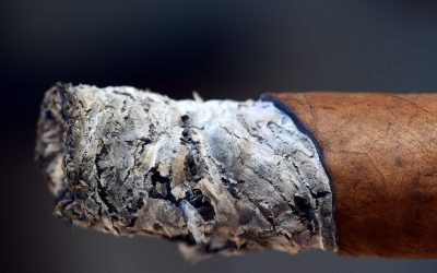 Most-Asked Cigar Questions