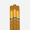 PERDOMO CHAMPAGNE CHURCHILL